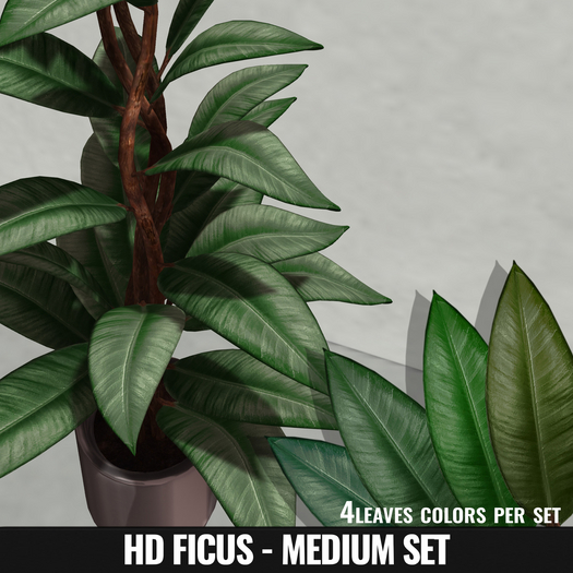 [YAN] Ficus elastica HD - medium leafs pack