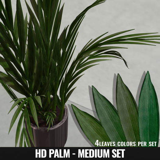 [YAN] Parlor palm HD - medium leafs set