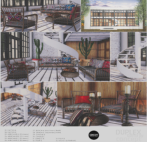 14. Concept} Duplex set. House RARE