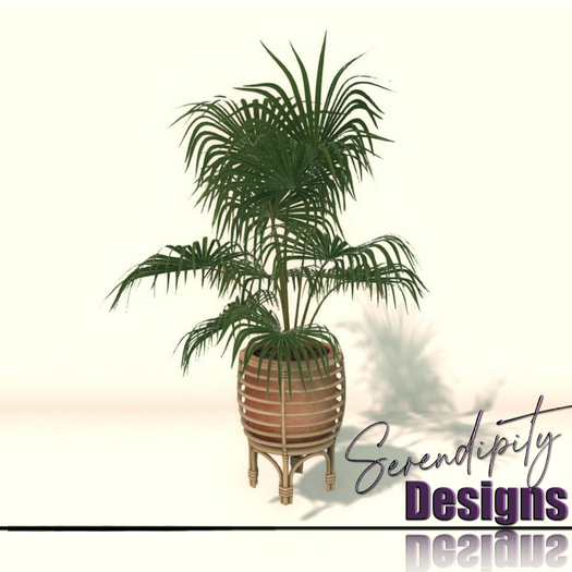 Serendipity Designs - Key Largo LR Potted Fount Palm