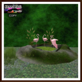 Jungle - Three Flamingos in the Pond