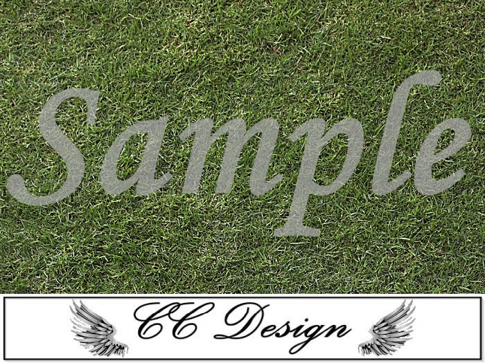 .Grass 58