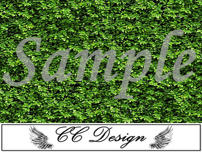 .Grass 63