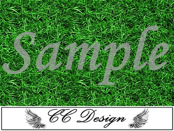 .Grass 71