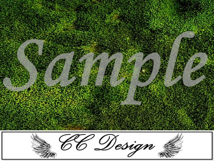 .Grass 85