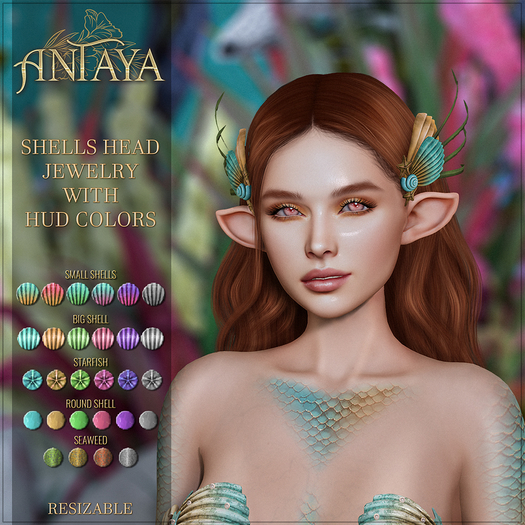 :: ANTAYA :: Shells head jewelry (wear me)