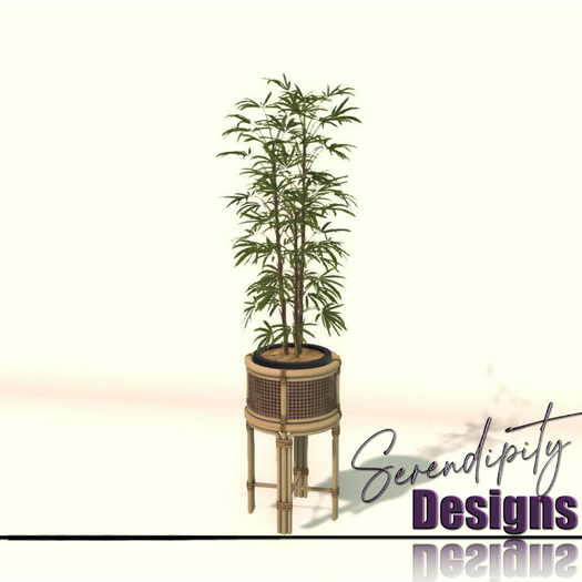 Serendipity Designs - Key Largo LR Potted Bamboo