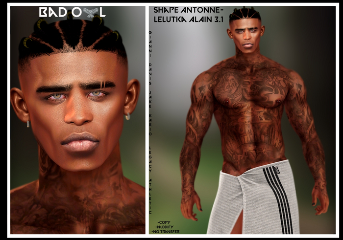 SHAPE ANTONNE-LELUTKA ALAIN 3.1