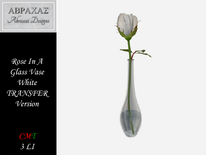 Rose In A Glass Vase - TRANS - White