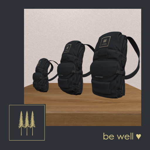 NEW ➛ Yosemite Souvenir Backpacks v2 (Set), Black Nylon, 3 Unisex Sizes - Mesh C/M (Wear to Unpack)