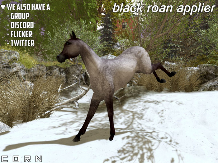 C O R N - Black roan