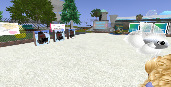 (7S) Rare Fish: White Betta