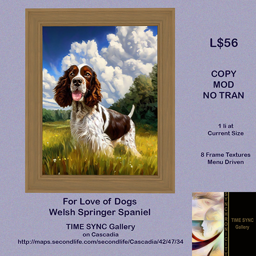 For Love of Dogs - Welsh Springer Spanial