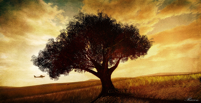 the Tree - Artwork by Raven Arcana