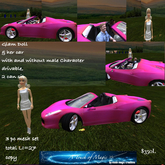 Glam doll & her vet- Box LI=27