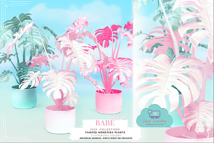 Ariskea[BABE] Painted Monstera Plants [Pack]
