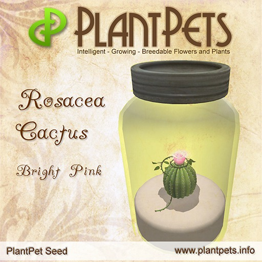 PlantPet Seed [Rosacea Cactus *Bright Pink*]