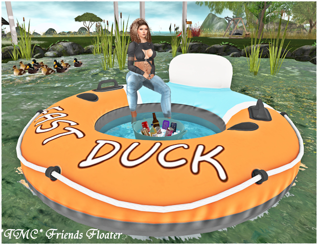 ~TMC~ Friends Floater