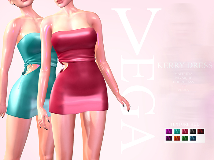 VEGA : Mesh Kerry Dress
