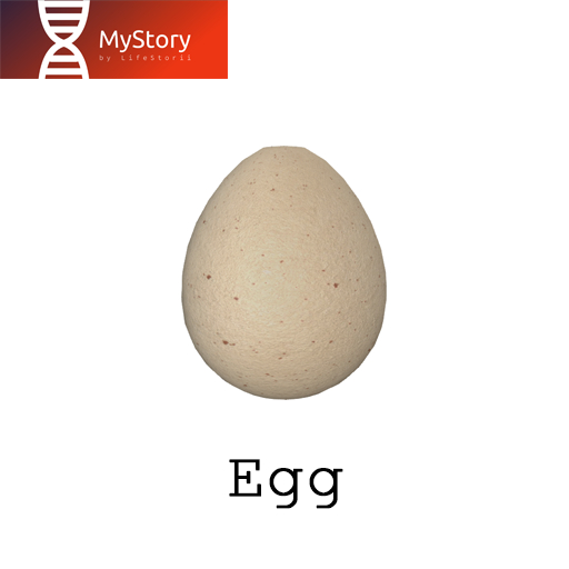 MyStory_egg
