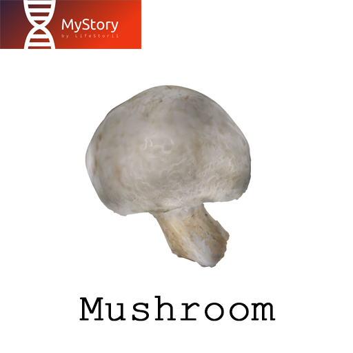 MyStory_Mushroom