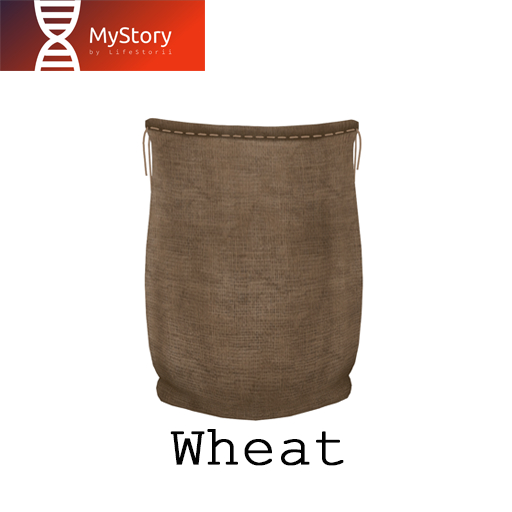 MyStory_Wheat