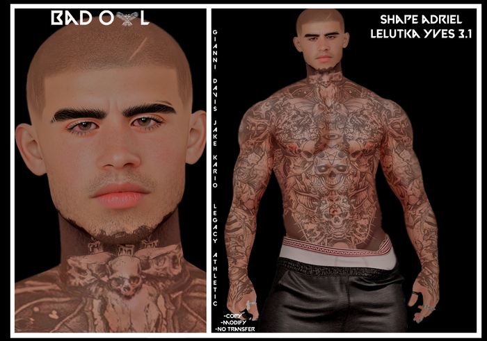 SHAPE ADRIEL-LELUTKA YVES 3.1