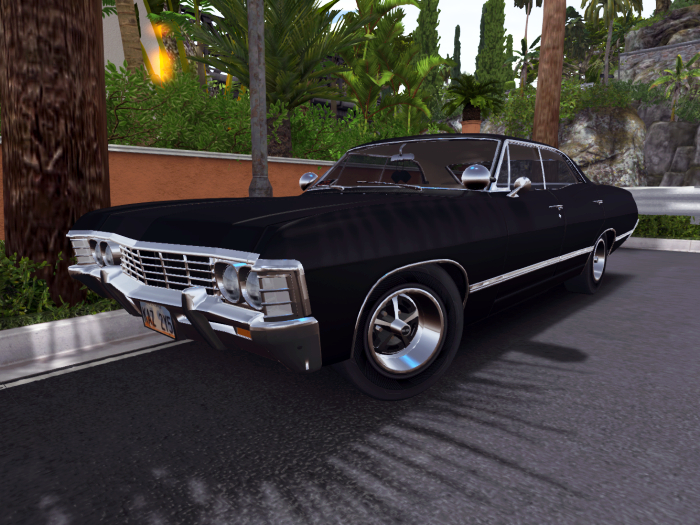 Raccoon Racing - Winchester