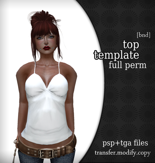 Template Top psp file -full perm-  targa & psp file