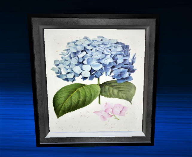 Blue Flower