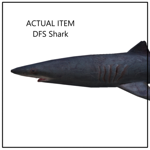 DFS Shark - ACTUAL ITEM