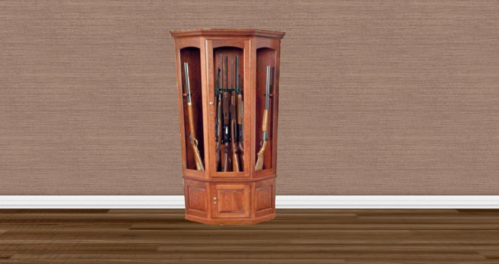 PP GUN CABINET