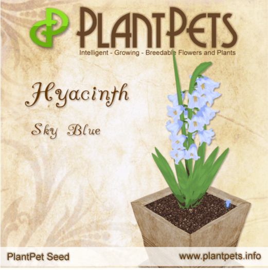 PlantPet Seed [Hyacinth *Sky Blue*] rare Updated v3.088