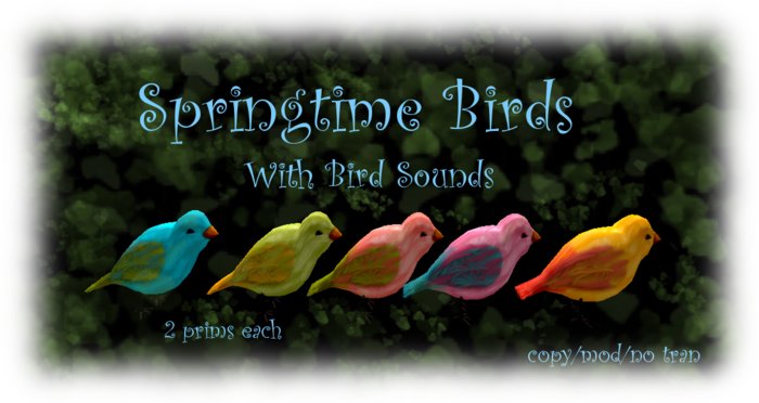 Spring Birds Set