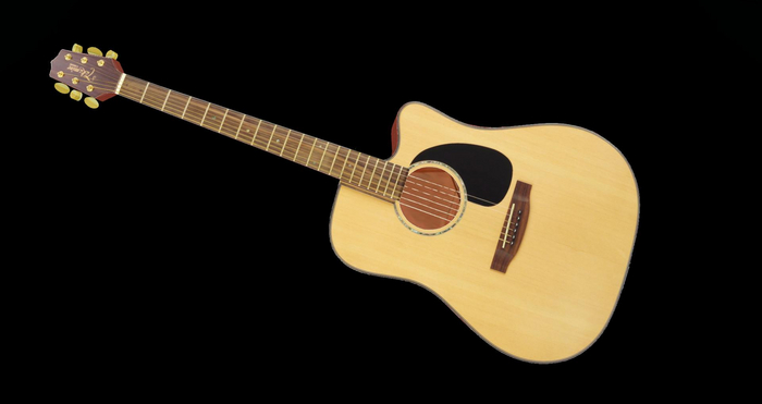 PORTLAND PRODUCTS Takamine Acoustic - Cutaway