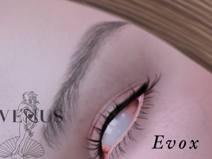 Venus- maria eyebrows