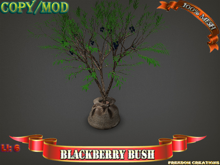 Blackberry bush-Freedom creations