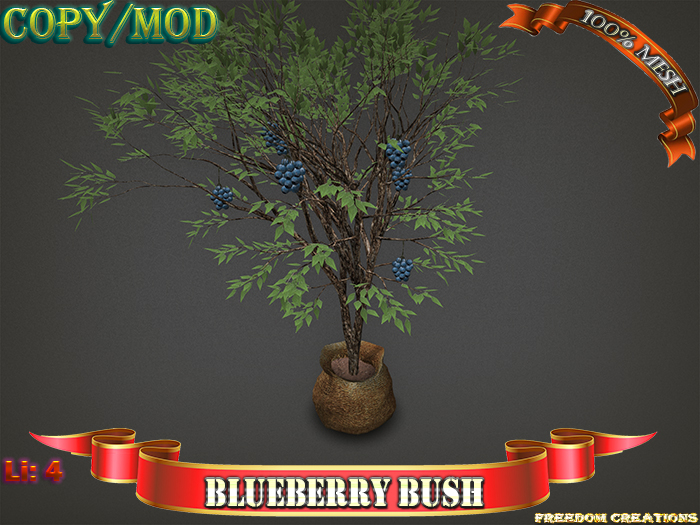 Blueberry bush-Freedom creations