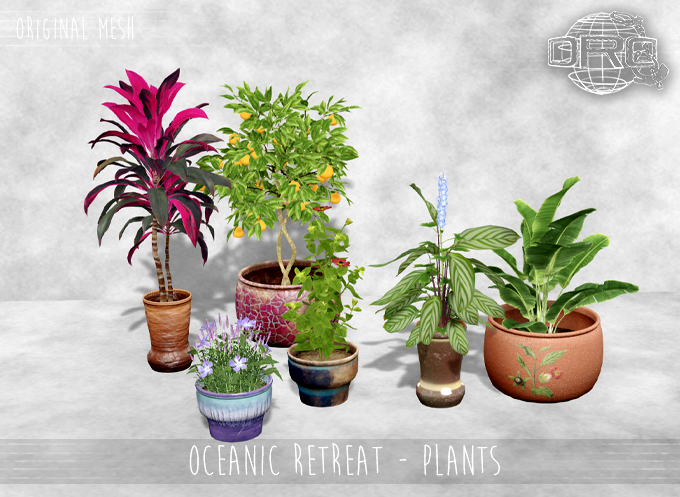 -DRD- Oceanic Retreat - Plants