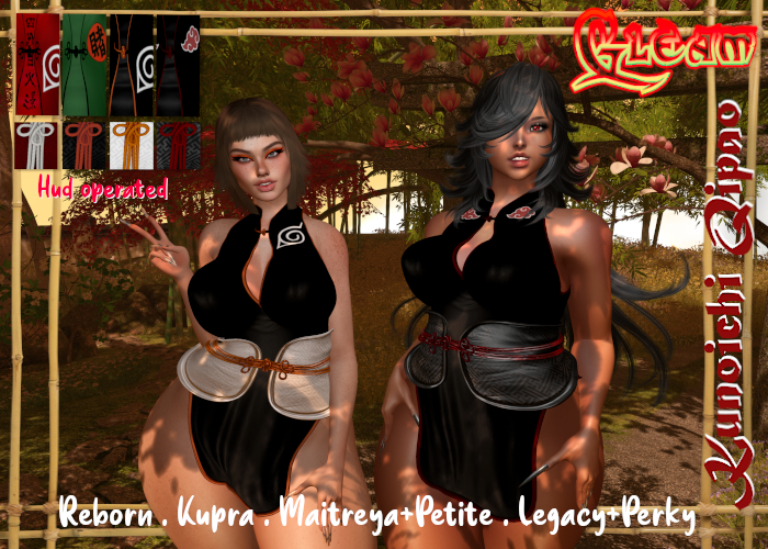 GLEAM: Kunoichi Qipao