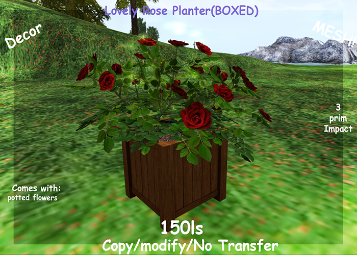 Lovely Rose Planter(BOXED)