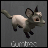 gumtree female #6463296