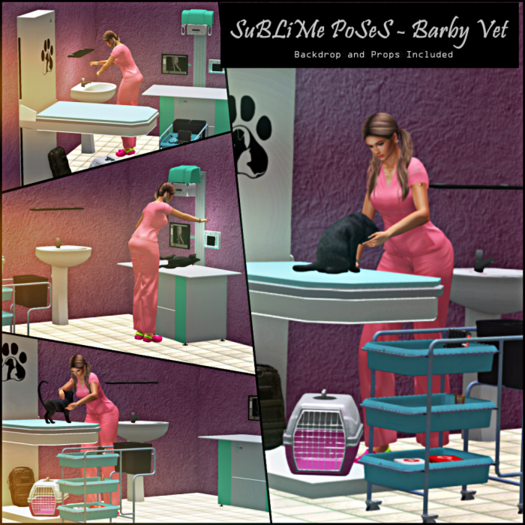 SuBLiMe PoSeS - Barby Vet