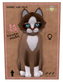 KittyCatS Box - New Born Kitten, Chateau Cat - Toffee Caramel