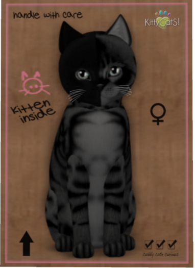 KittyCatS Box - Chimera - Charcoal Mist