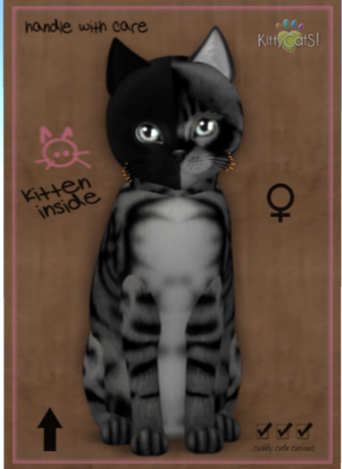 KittyCatS Box - Chimera - Charcoal Mist