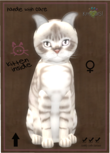 KittyCatS Box - Australian Mist - Blue Marble