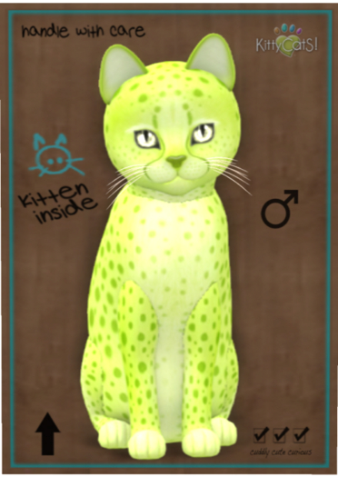 KittyCatS Box - Cheetah! - Lime No. 2