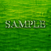 Zoy Texture [ BARKSTRIPPED 02 ] Forest