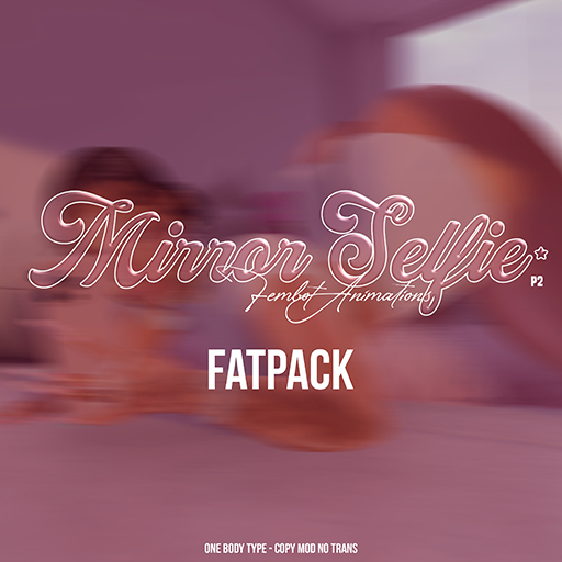 FEMBOT : Mirror Selfie  ( Animations )